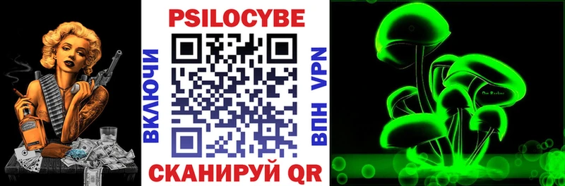 Псилоцибиновые грибы Cubensis  Астрахань 